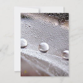 Dew Drops on Spider Web Galaxy Nature ポストカード