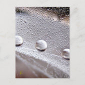 Dew Drops on Spider Web Galaxy Nature ポストカード (正面)