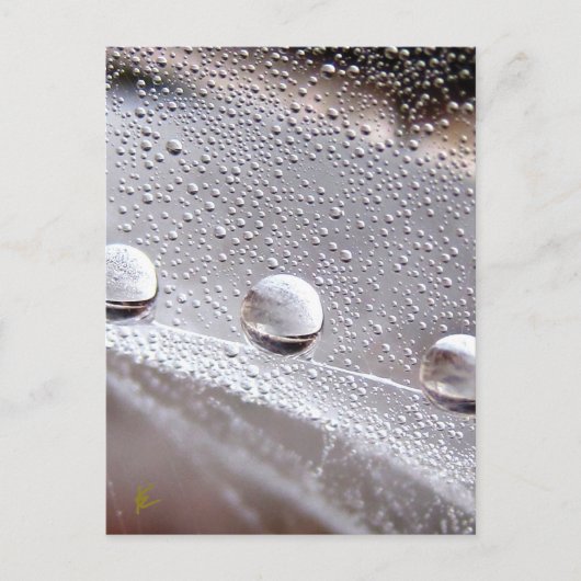 Dew Drops on Spider Web Galaxy Nature ポストカード (正面)