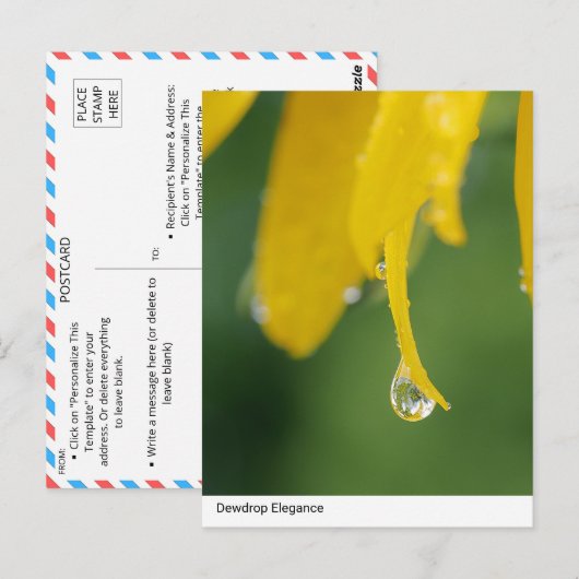 Dewdropエレガンス:黄色い花の花弁クローズアップ ポストカード (正面/裏面)