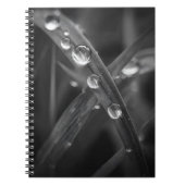Dewdrop Grass Blade Macro Notebook ノートブック (正面)