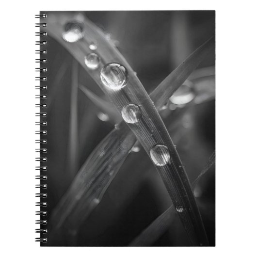 Dewdrop Grass Blade Macro Notebook ノートブック (正面)