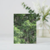 Dewyスパイダーウェブ ポストカード (スタンド正面)