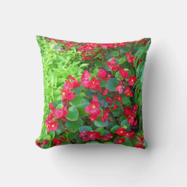 Dewyベゴニア クッション