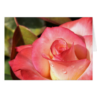 Dewy上がりました