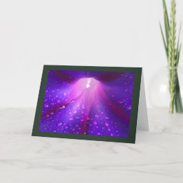 Dewy Morning Glory Blank カード