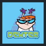 Dexterキャラクター名グラフィック ポスター<br><div class="desc">デクスター研究所 |このキャラクターグラフィックをチェックしてDexterの名前!</div>