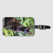Dexterブラックシャム猫、荷物タグ ラゲッジタグ (正面横)
