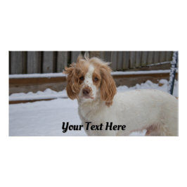 Dexter in the Snow – Glossy Poster Print ポスター