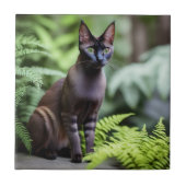 Dexter The Black Siamese Cat, Ceramic Tile タイル (正面)