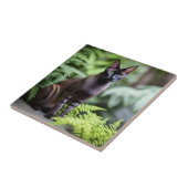 Dexter The Black Siamese Cat, Ceramic Tile タイル (側面)