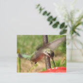 DG – ハンマー葉書 ポストカード (スタンド正面)