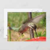 DG – ハンマー葉書 ポストカード (正面/裏面)