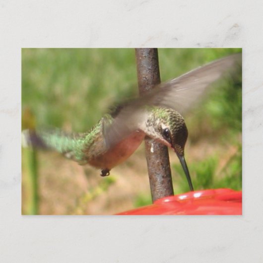 DG – ハンマー葉書 ポストカード (正面)