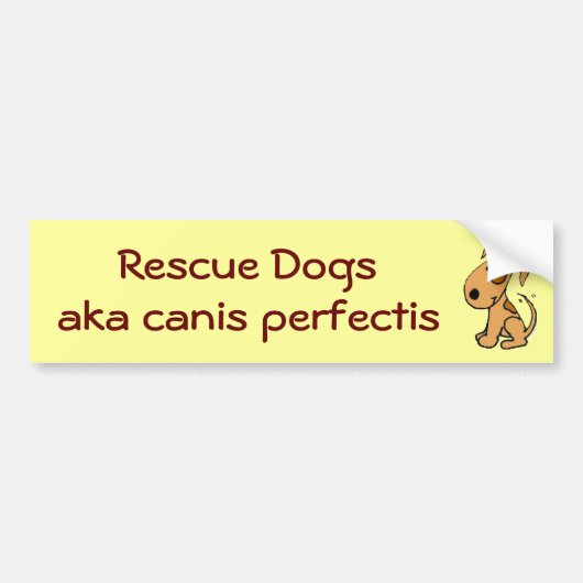 DG-救助犬、別名イヌ属のperfectis バンパーステッカー (正面)