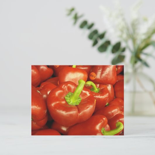 DH000181 ポストカード (スタンド正面)