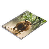 Dharma ノートブック (左側)