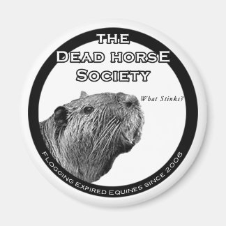 DHS冷凍機マグネット マグネット