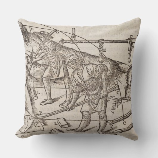 「DiルーチョVitから石造りのブロックを、動かす方法 クッション (正面)