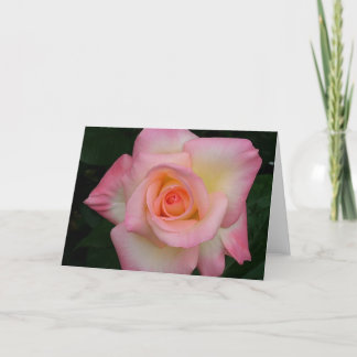 Di Rose女性 カード