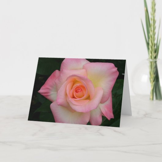 Di Rose女性 カード (正面)