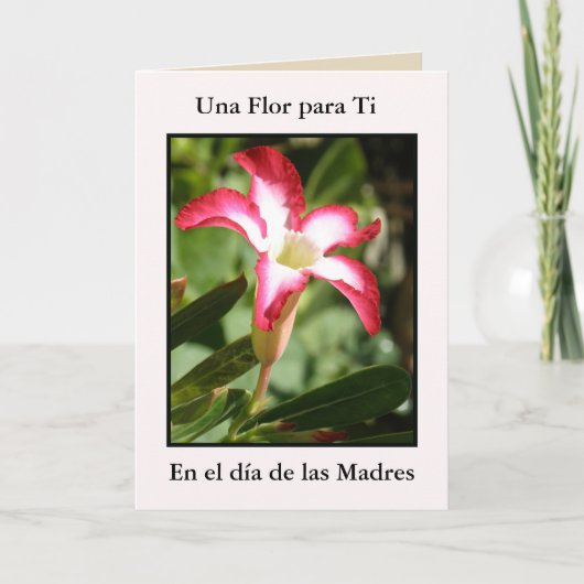 Dia de Las Madres Una florパラグラフのチタニウム カード (正面)