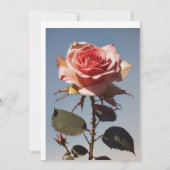 "Dia de los Muertosお祝い – ラブユニテスアメリカ" 招待状 (裏面)