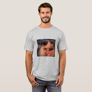 Diabeetus猫 Tシャツ