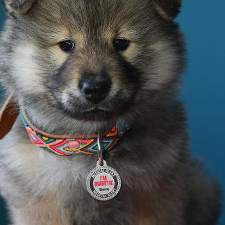 Diabetic Pet Medical Alert Custom Name Gray Black  ペット　ネームタグ