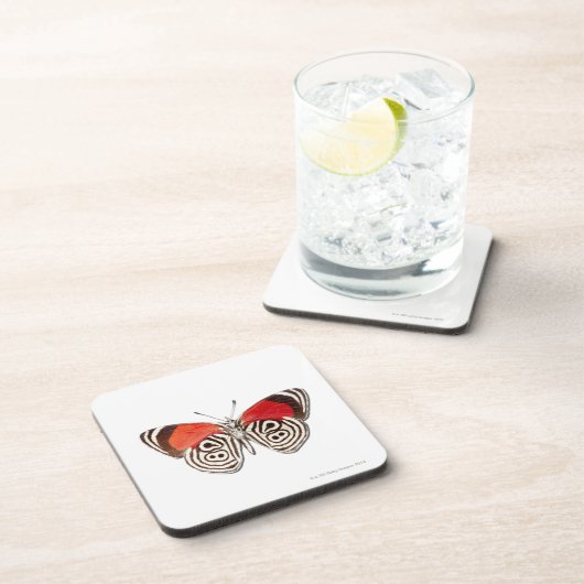 Diaethriaのclymena コースター (右側)