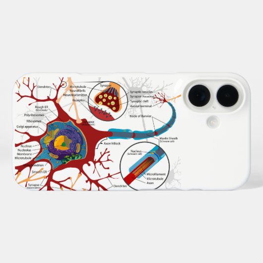 Diagram Complete Neuron Cell Nerve Nervous System  Case-Mate iPhoneケース (裏面 (横))