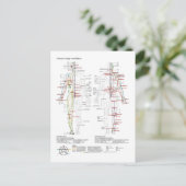  Diagram Schematic Chinese Meridians Human Body  ポストカード (スタンド正面)