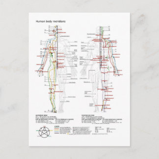  Diagram Schematic Chinese Meridians Human Body  ポストカード
