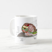 Diagram snail Helix aspersa split-sectioned organ  コーヒーマグカップ (正面左)