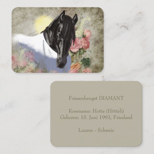 DIAMOND Digital 絵画's – 名刺 (正面/裏面)