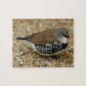 Diamond Firetail Finch ジグソーパズル (横)