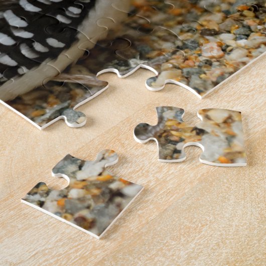 Diamond Firetail Finch ジグソーパズル (側面)