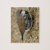 Diamond Firetail Finch ジグソーパズル (縦)