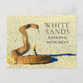 Diamondback Rattlesnake Standing White Sands ポストカード (正面)
