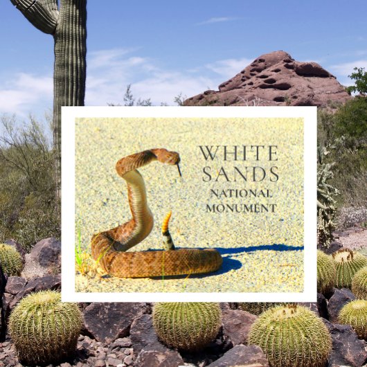 Diamondback Rattlesnake Standing White Sands ポストカード