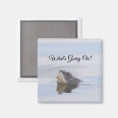 Diamondback Terrapin Turtle Face Magnet マグネット (正面/裏面)