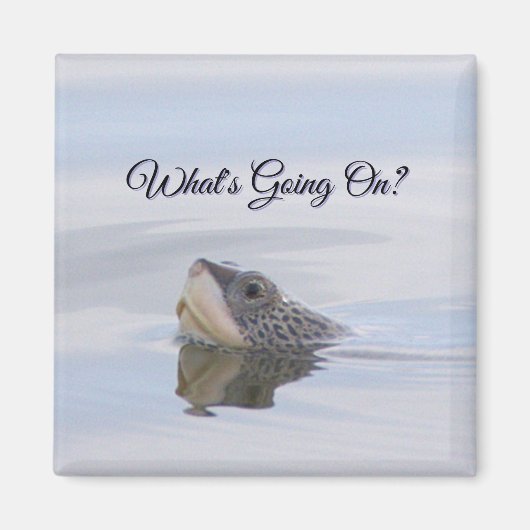 Diamondback Terrapin Turtle Face Magnet マグネット (正面)