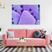 Diatom果実のクローズ(Mlychenenensis) キャンバスプリント (インサイチュ (リビング))