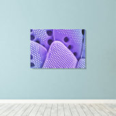 Diatom果実のクローズ(Mlychenenensis) キャンバスプリント (インサイチュ (ウッドフロア))