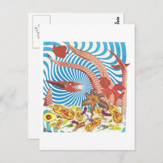 Dibble_Art29_Orange_Octopus ポストカード (正面/裏面)