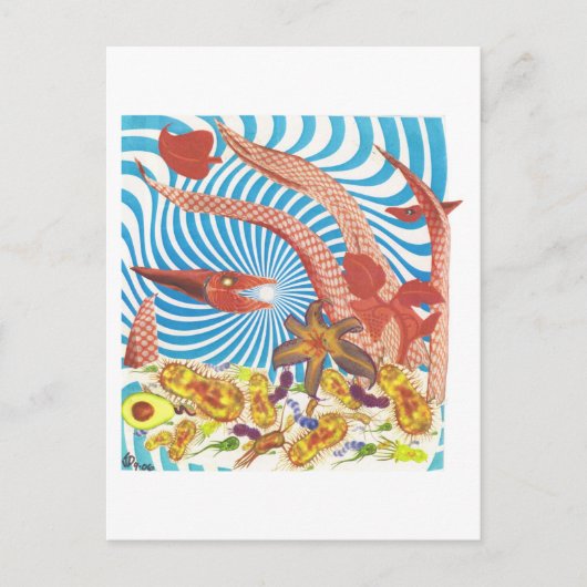 Dibble_Art29_Orange_Octopus ポストカード (正面)