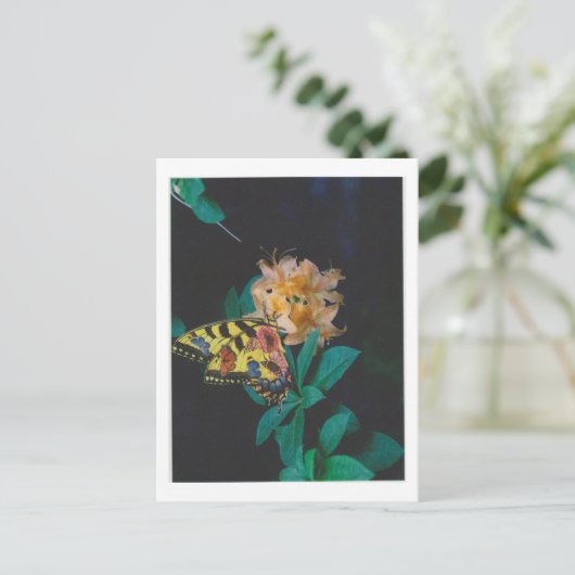 Dibble_Artworks_124_Battfray ポストカード (スタンド正面)