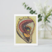 Dibble_Artworks_140_Oysters ポストカード (スタンド正面)