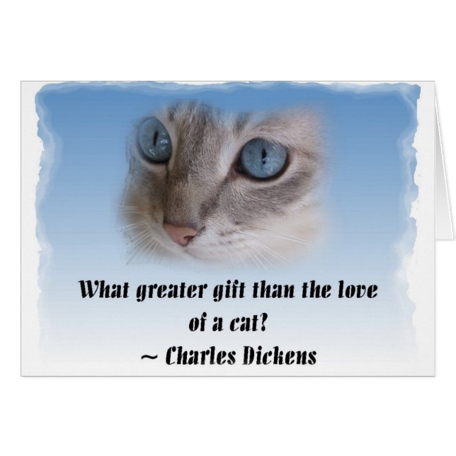 Dickens猫 (正面横)