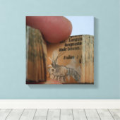 DicofrAngleミニチュアブッククライフィッシュスケッチキャンバス キャンバスプリント (インサイチュ (ウッドフロア))